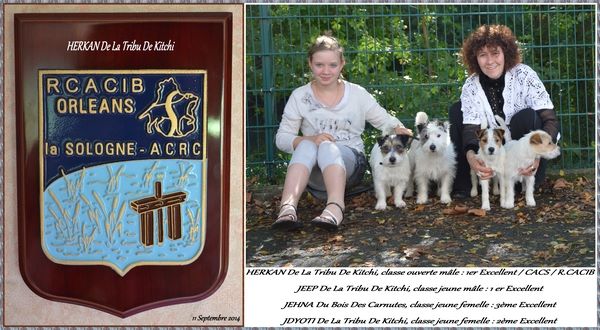 De la tribu de kitchi - Exposition Canine - Orléans 2014 - CACIB
