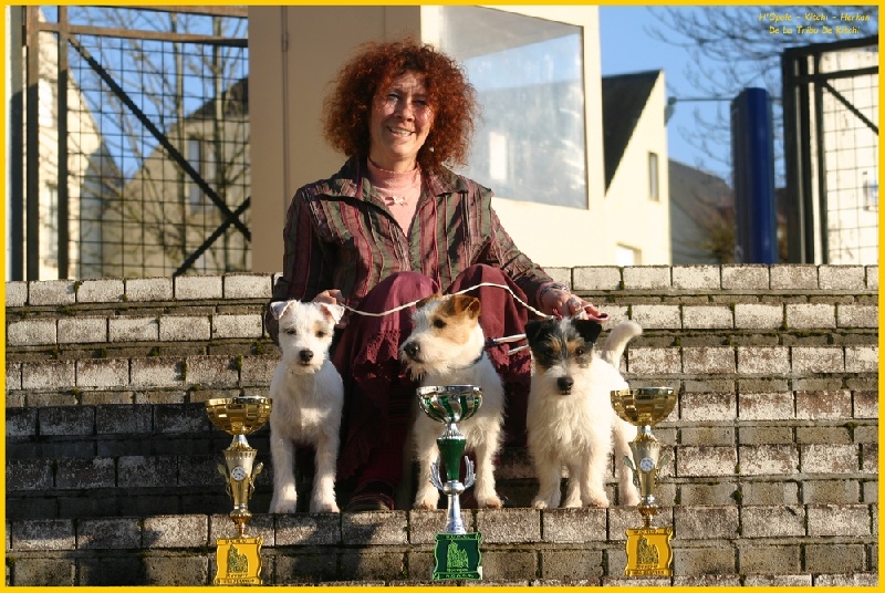 DE LA TRIBU DE KITCHI - En expositions canines